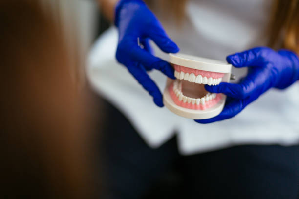 Best Full Mouth Reconstruction  in West Branch, MI
