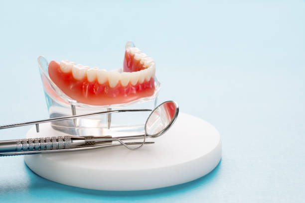 Trusted West Branch, MI Holistic Dental Care Services Experts