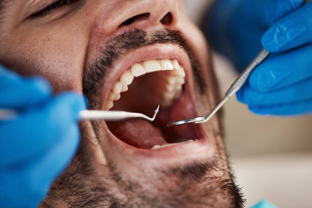 Best Cosmetic Dentistry  in West Branch, MI